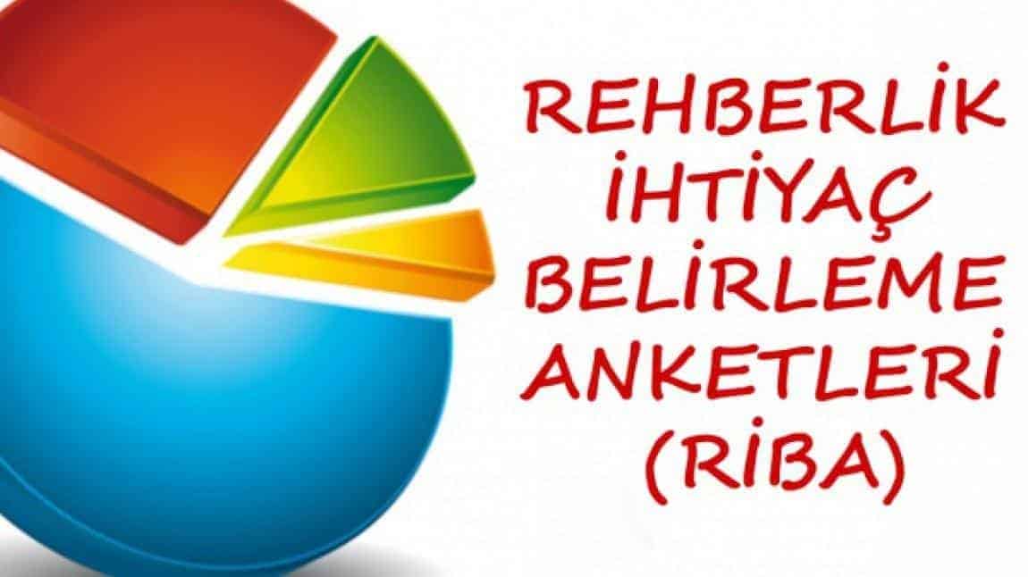 2025 REHBERLİK İHTİYACI BELİRLEME ANKETİ (RİBA) VE SONUÇ ÇİZELGELERİ